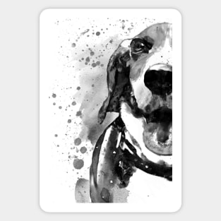 Black and White Half Faced Beagle Sticker